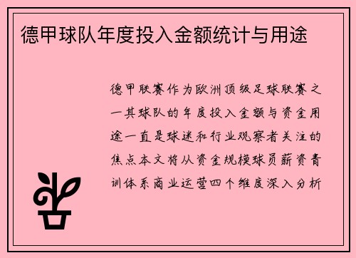 德甲球队年度投入金额统计与用途