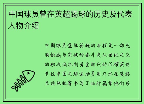 中国球员曾在英超踢球的历史及代表人物介绍