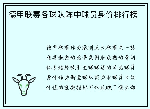 德甲联赛各球队阵中球员身价排行榜